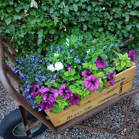 Groote Engel Emlichheim