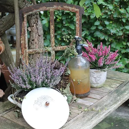 Groote Engel Emlichheim